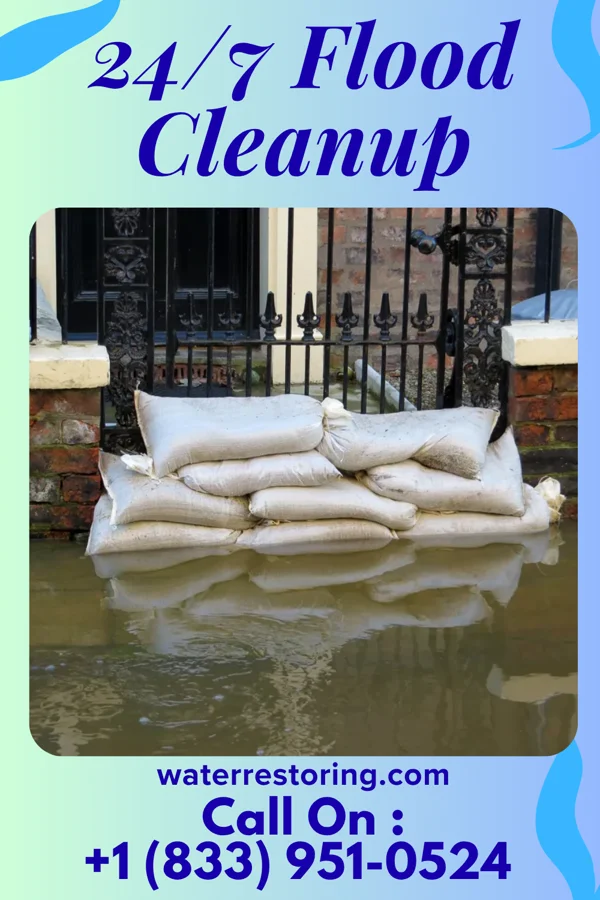 24/7 Flood Cleanup in Deer Creek, IL