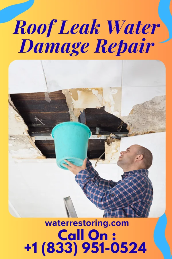 Roof Leak Water Damage Repair in Deer Creek, IL