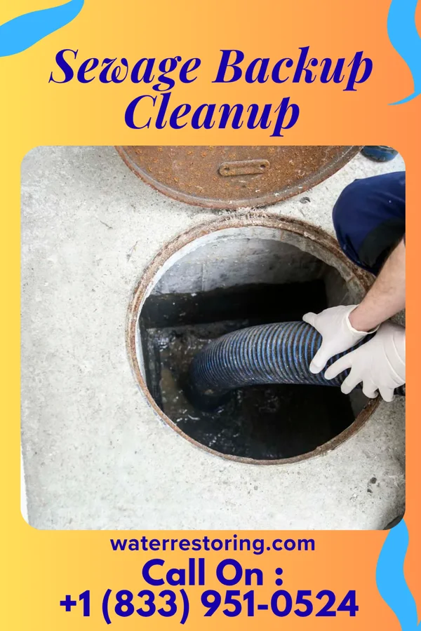 Sewage Backup Cleanup in Deer Creek, IL