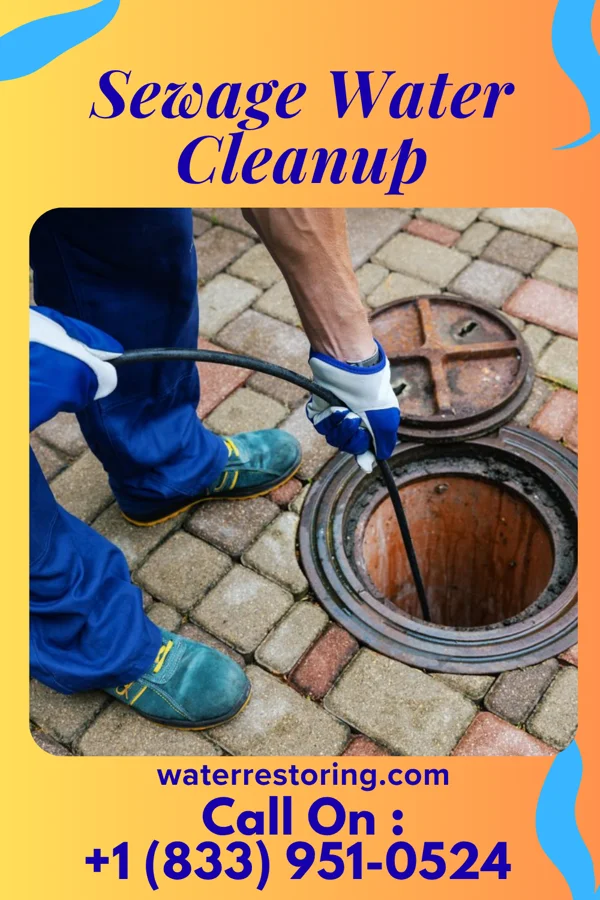 Sewage Water Cleanup in Deer Creek, IL