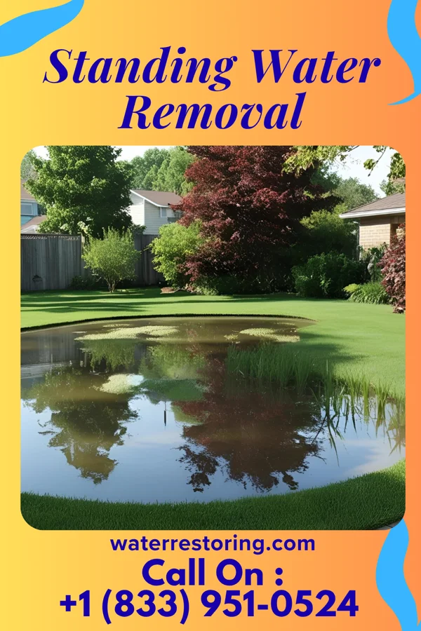 Standing Water Removal in Deer Creek, IL